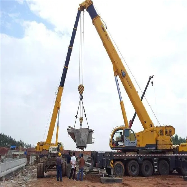 新邵小型吊机出租电话|厂房设备吊装方案|24小时服务覆盖